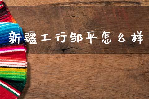 新疆工行邹平怎么样_https://wap.sdxiaoxijinshu.com_理财_第1张