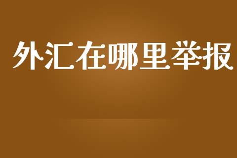 外汇在哪里举报_https://wap.sdxiaoxijinshu.com_财经_第1张