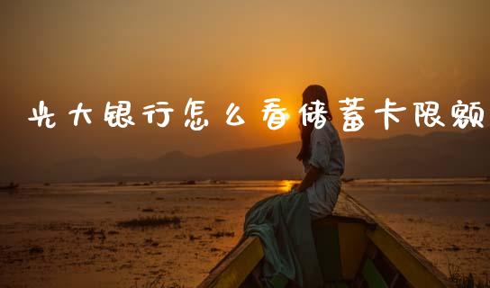 光大银行怎么看储蓄卡限额_https://wap.sdxiaoxijinshu.com_金融_第1张
