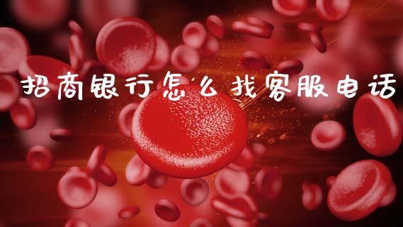 招商银行怎么找客服电话_https://wap.sdxiaoxijinshu.com_金融_第1张