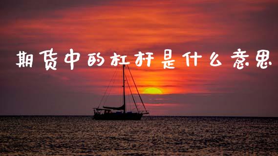 期货中的杠杆是什么意思_https://wap.sdxiaoxijinshu.com_财经_第1张