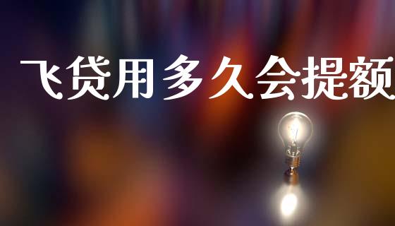 飞贷用多久会提额_https://wap.sdxiaoxijinshu.com_理财_第1张