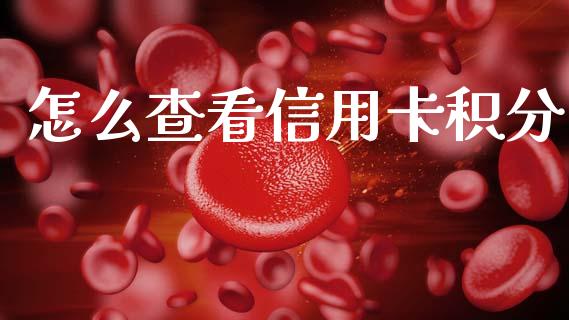 怎么查看信用卡积分_https://wap.sdxiaoxijinshu.com_金融_第1张