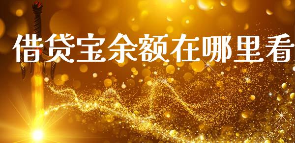 借贷宝余额在哪里看_https://wap.sdxiaoxijinshu.com_理财_第1张