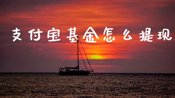 支付宝基金怎么提现_https://wap.sdxiaoxijinshu.com_财经_第1张
