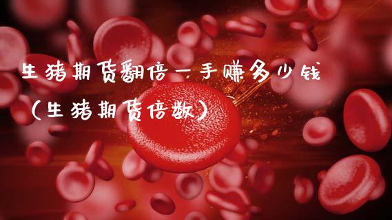 生猪期货翻倍一手赚多少钱（生猪期货倍数）_https://wap.sdxiaoxijinshu.com_财经_第1张