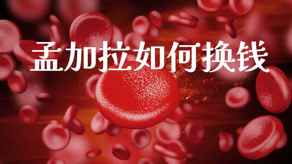 孟加拉如何换钱_https://wap.sdxiaoxijinshu.com_财经_第1张