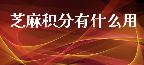 芝麻积分有什么用_https://wap.sdxiaoxijinshu.com_理财_第1张