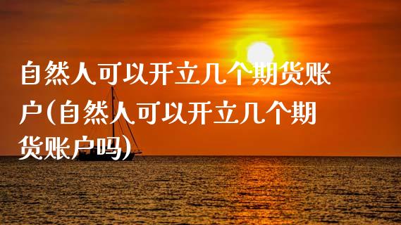 自然人可以开立几个期货账户(自然人可以开立几个期货账户吗)_https://wap.sdxiaoxijinshu.com_金融_第1张