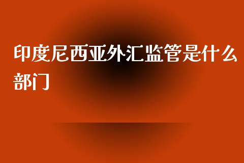 印度尼西亚外汇监管是什么部门_https://wap.sdxiaoxijinshu.com_财经_第1张