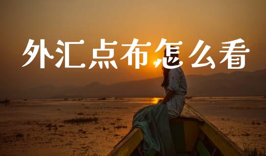 外汇点布怎么看_https://wap.sdxiaoxijinshu.com_财经_第1张
