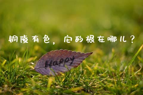铜陵有色，它的根在哪儿？_https://wap.sdxiaoxijinshu.com_期货_第1张