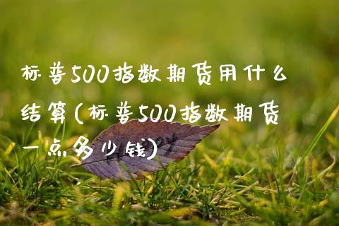 标普500指数期货用什么结算(标普500指数期货一点多少钱)_https://wap.sdxiaoxijinshu.com_财经_第1张
