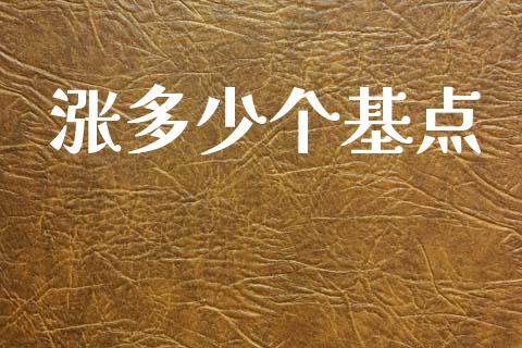 涨多少个基点_https://wap.sdxiaoxijinshu.com_财经_第1张