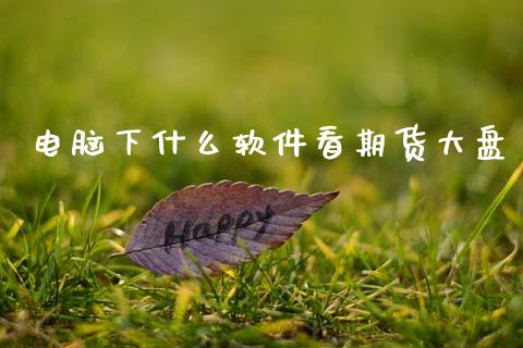 电脑下什么软件看期货大盘_https://wap.sdxiaoxijinshu.com_期货_第1张