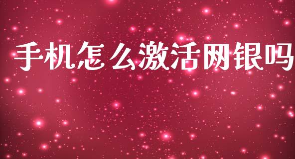 手机怎么激活网银吗_https://wap.sdxiaoxijinshu.com_金融_第1张