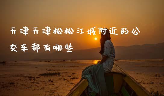 天津天津松松江城附近的公交车都有哪些_https://wap.sdxiaoxijinshu.com_金融_第1张