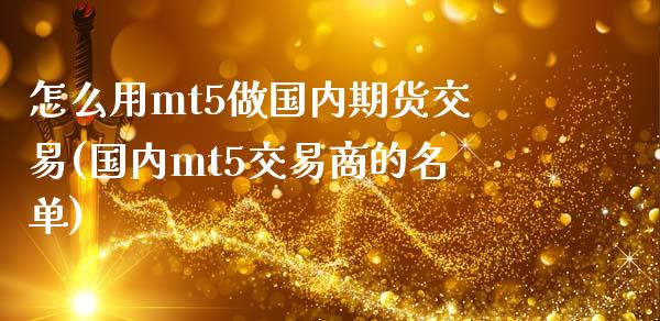 怎么用mt5做国内期货交易(国内mt5交易商的名单)_https://wap.sdxiaoxijinshu.com_金融_第1张