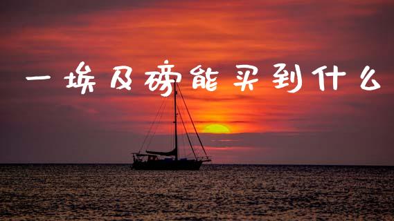 一埃及磅能买到什么_https://wap.sdxiaoxijinshu.com_理财_第1张