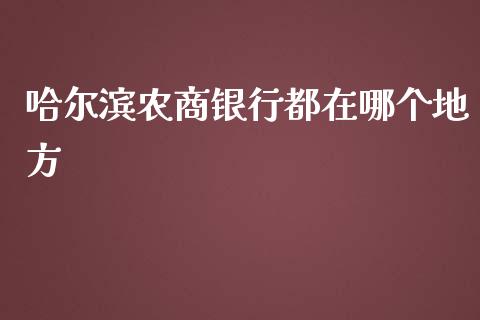 哈尔滨农商银行都在哪个地方_https://wap.sdxiaoxijinshu.com_理财_第1张