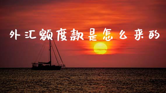外汇额度款是怎么来的_https://wap.sdxiaoxijinshu.com_期货_第1张