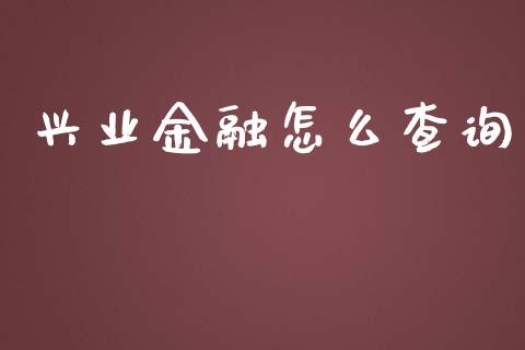 兴业金融怎么查询_https://wap.sdxiaoxijinshu.com_金融_第1张