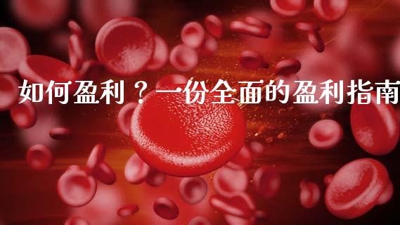如何盈利？一份全面的盈利指南_https://wap.sdxiaoxijinshu.com_期货_第1张
