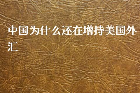 中国为什么还在增持美国外汇_https://wap.sdxiaoxijinshu.com_财经_第1张