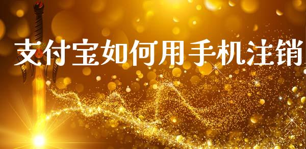 支付宝如何用手机注销_https://wap.sdxiaoxijinshu.com_期货_第1张