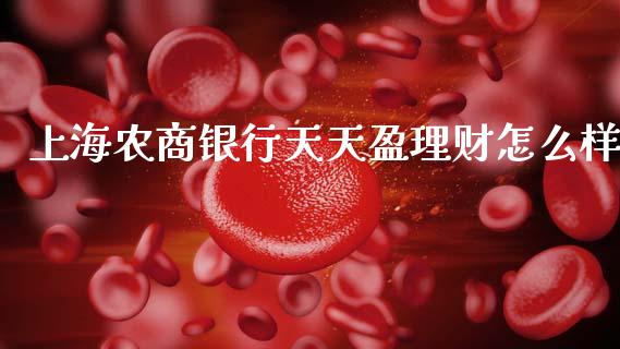 上海农商银行天天盈理财怎么样_https://wap.sdxiaoxijinshu.com_金融_第1张