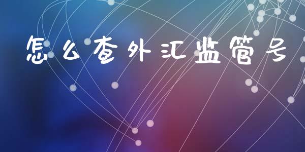 怎么查外汇监管号_https://wap.sdxiaoxijinshu.com_财经_第1张