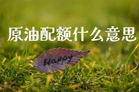 原油配额什么意思_https://wap.sdxiaoxijinshu.com_期货_第1张