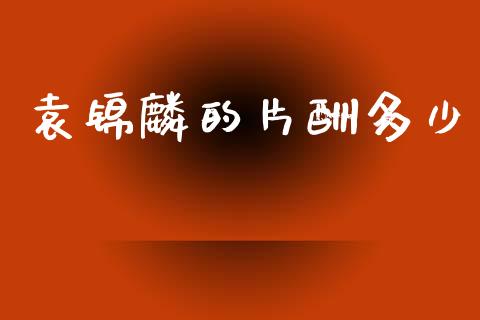 袁锦麟的片酬多少_https://wap.sdxiaoxijinshu.com_期货_第1张