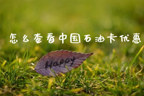怎么查看中国石油卡优惠_https://wap.sdxiaoxijinshu.com_金融_第1张