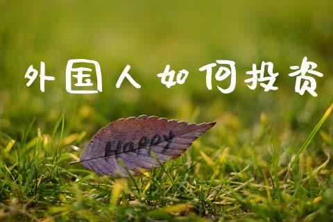 外国人如何投资_https://wap.sdxiaoxijinshu.com_财经_第1张