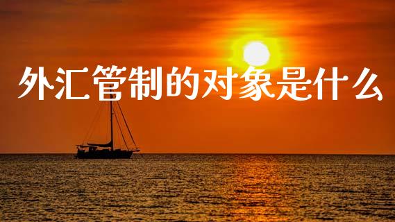 外汇管制的对象是什么_https://wap.sdxiaoxijinshu.com_财经_第1张