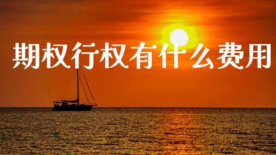期权行权有什么费用_https://wap.sdxiaoxijinshu.com_期货_第1张