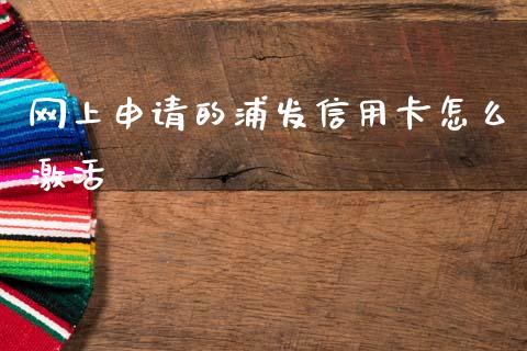 网上申请的浦发信用卡怎么激活_https://wap.sdxiaoxijinshu.com_金融_第1张