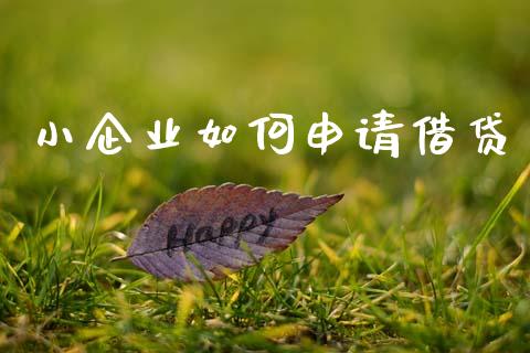 小企业如何申请借贷_https://wap.sdxiaoxijinshu.com_理财_第1张