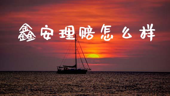 鑫安理赔怎么样_https://wap.sdxiaoxijinshu.com_金融_第1张
