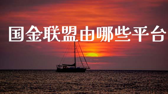 国金联盟由哪些平台_https://wap.sdxiaoxijinshu.com_财经_第1张