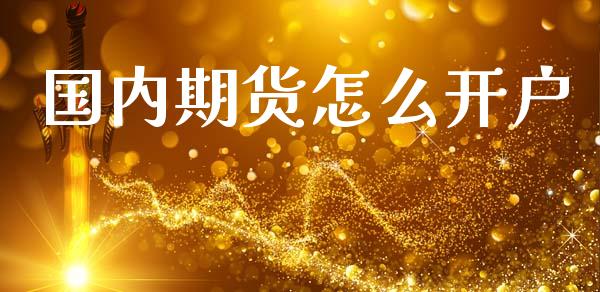 国内期货怎么开户_https://wap.sdxiaoxijinshu.com_期货_第1张