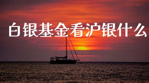 白银基金看沪银什么_https://wap.sdxiaoxijinshu.com_期货_第1张