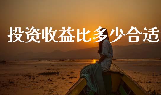 投资收益比多少合适_https://wap.sdxiaoxijinshu.com_理财_第1张