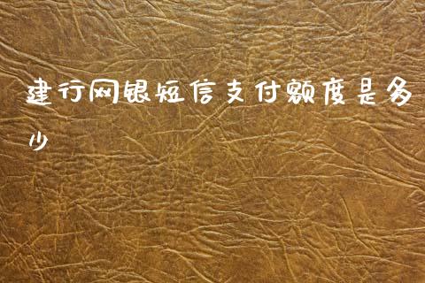 建行网银短信支付额度是多少_https://wap.sdxiaoxijinshu.com_理财_第1张