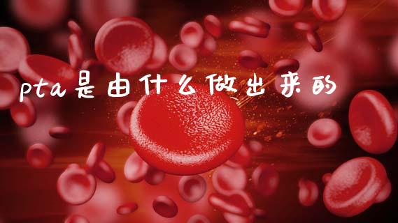 pta是由什么做出来的_https://wap.sdxiaoxijinshu.com_期货_第1张