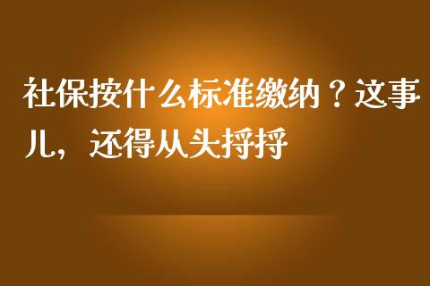 社保按什么标准缴纳？这事儿，还得从头捋捋_https://wap.sdxiaoxijinshu.com_理财_第1张