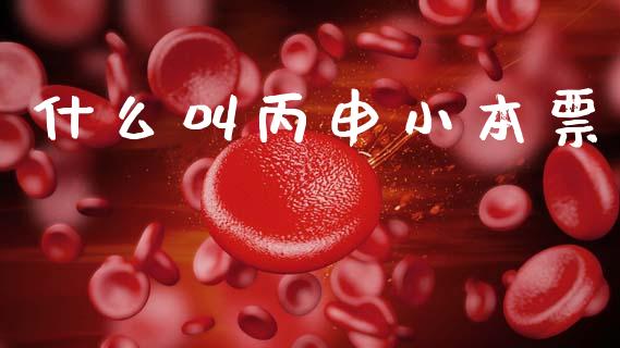 什么叫丙申小本票_https://wap.sdxiaoxijinshu.com_期货_第1张