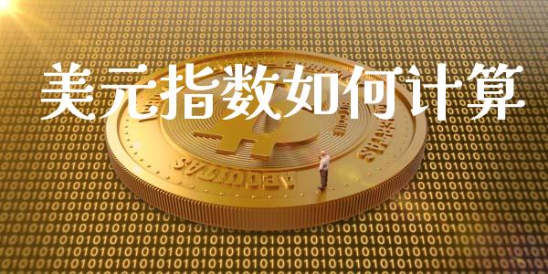 美元指数如何计算_https://wap.sdxiaoxijinshu.com_财经_第1张