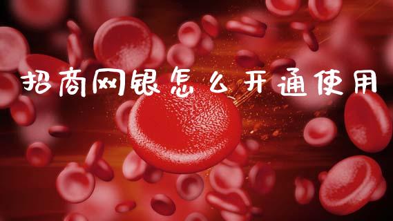 招商网银怎么开通使用_https://wap.sdxiaoxijinshu.com_金融_第1张